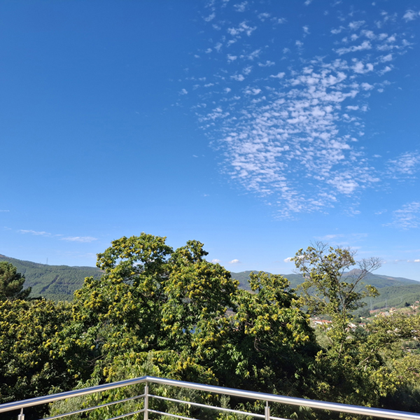 Casas do Caminho Velho